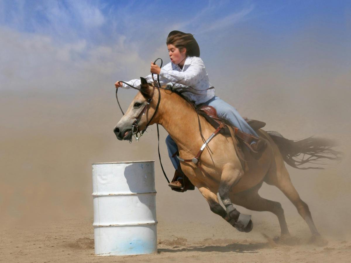 Chase the Dream, Chapters 1-4 updated